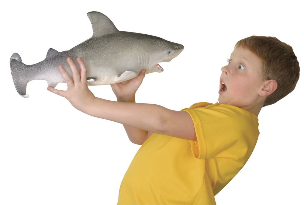 Grow shark toy outlet