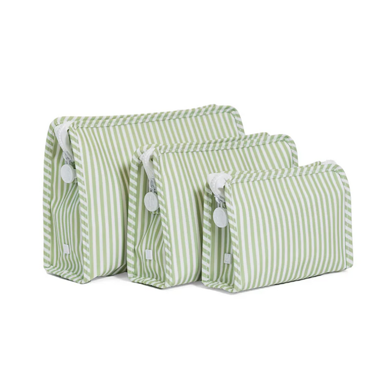Sage Pimlico Stripe Roadie Case