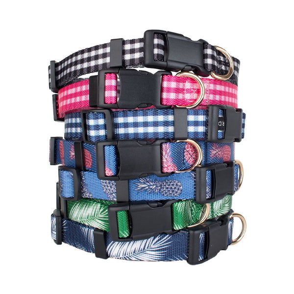 Sparky Dog Collar