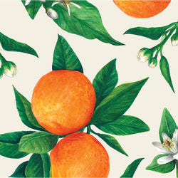 Hester & Cook Orange Orchard Paper Cocktail Napkins