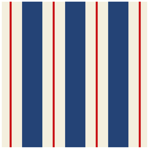 Hester & Cook Navy & Red Stripe Paper Cocktail Napkins