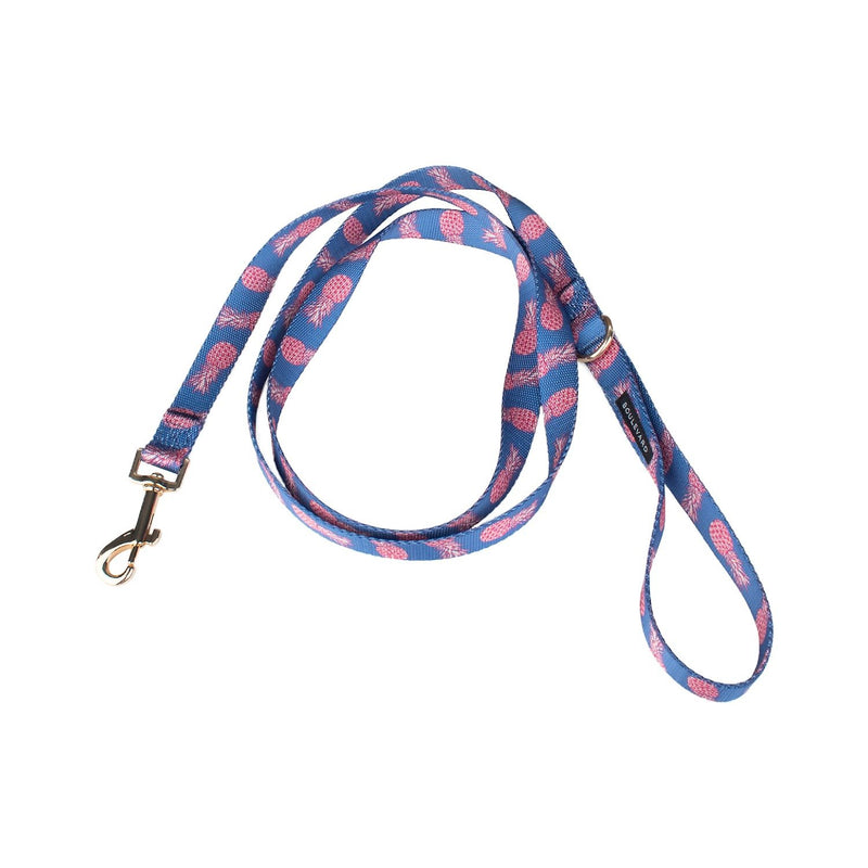Sparky Dog Leash