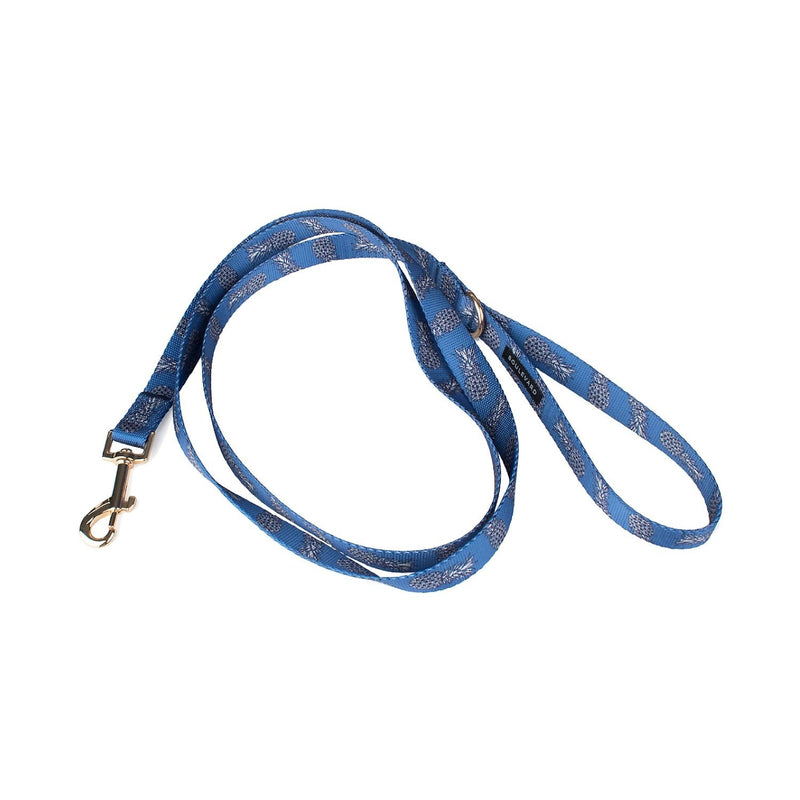 Sparky Dog Leash