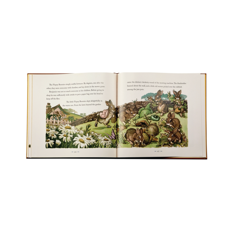 The Classic Tale of Peter Rabbit Leather Bound Book