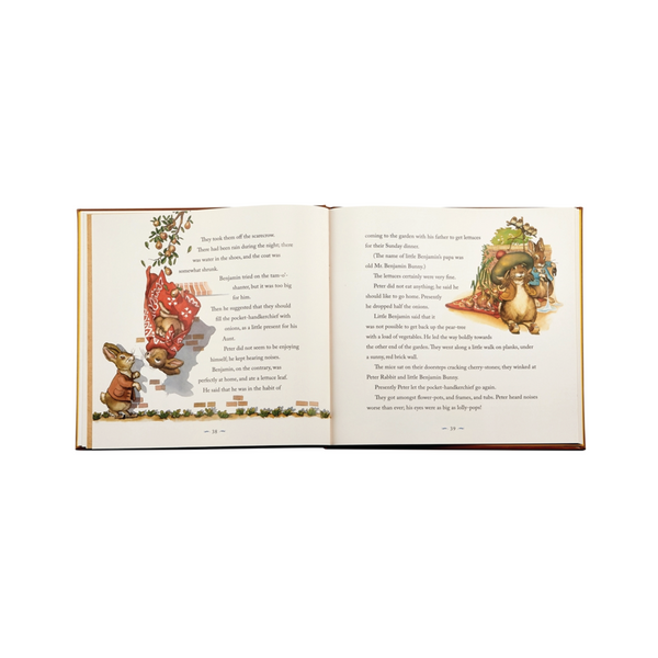 The Classic Tale of Peter Rabbit Leather Bound Book